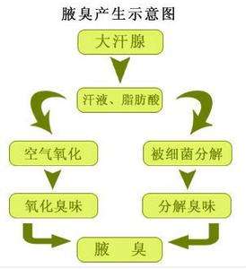 Ҹ������ô�����ģ�Ӧ����ô����?