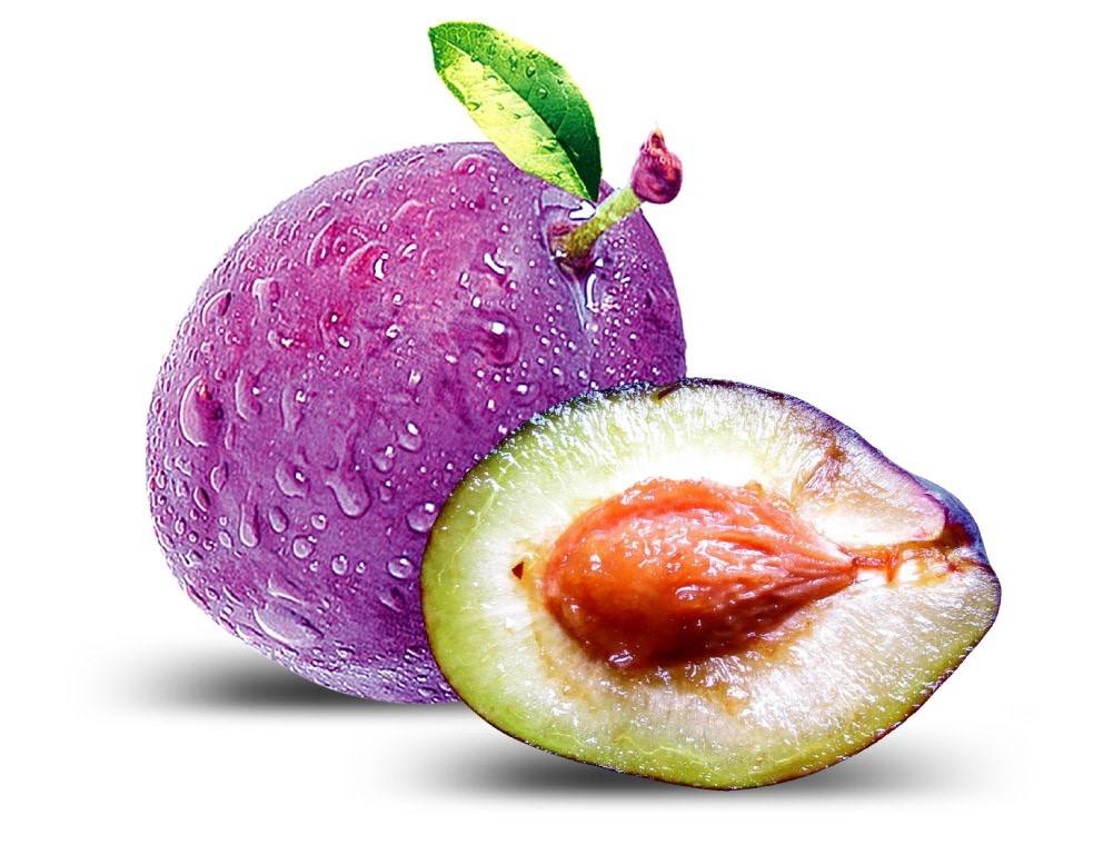 �γǻ�ɽƤ����ר��