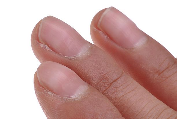 �������롪�������ָ�׿�����