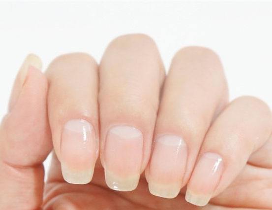 �������롪�������ָ�׿�����