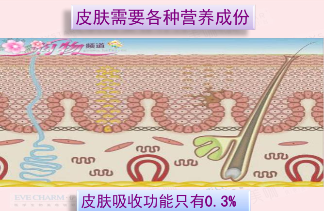 ̫ȫ�ˣ�16��Ƥ�����⣬Ӫ����������ָ��