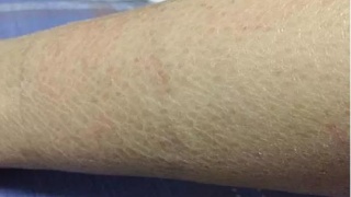 �γǻ�ɽƤ����ר��