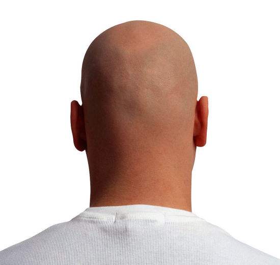 �γǻ�ɽƤ����ר��