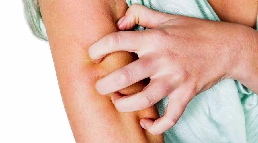 �γǻ�ɽƤ����ר��