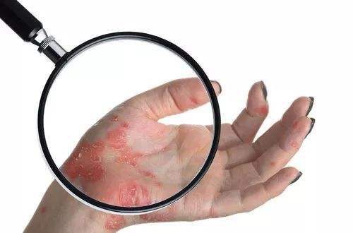 �γǻ�ɽƤ����ר��