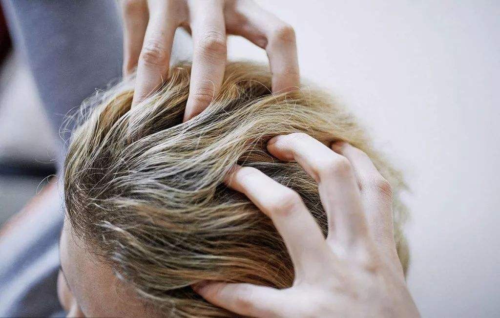 �γǻ�ɽƤ����ר��